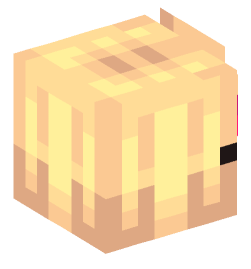 Minecraft head — People