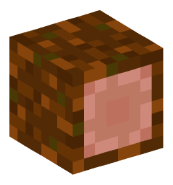 Minecraft head — Blocks