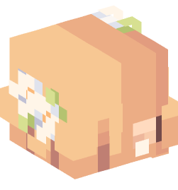 Minecraft head — People