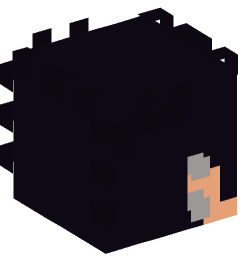 Minecraft head — People