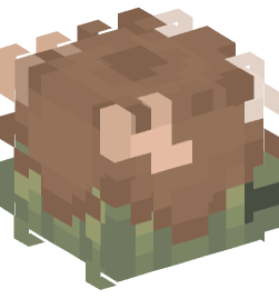 Minecraft head — People