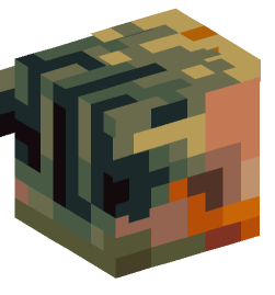 Minecraft head — People