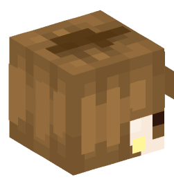 Minecraft head — People