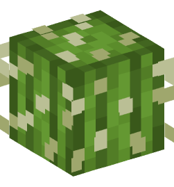 Minecraft head — Plants