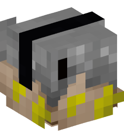 Minecraft head — Decor