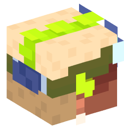 Minecraft head — People