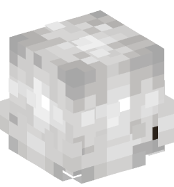 Minecraft head — Decor