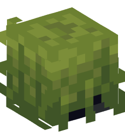 Minecraft head — Creatures