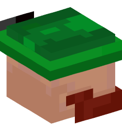 Minecraft head — People