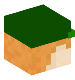 Minecraft head — People