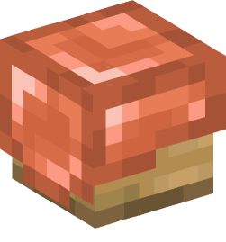 Minecraft head — Decor