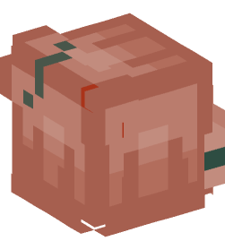 Minecraft head — People