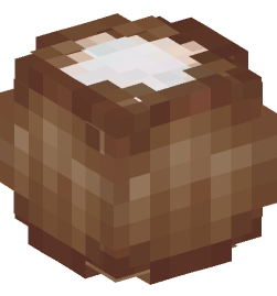 Minecraft head — Food and drink