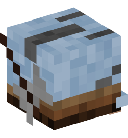 Minecraft head — Decor