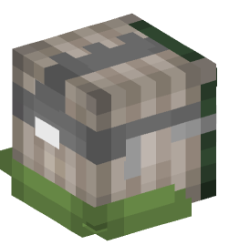 Minecraft head — People