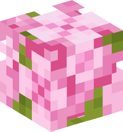 Minecraft head — Plants