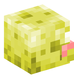 Minecraft head — Creatures