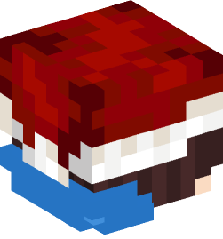 Minecraft head — People