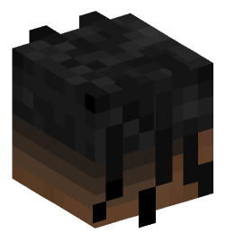 Minecraft head — People