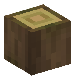 Minecraft head — Blocks