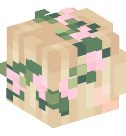 Minecraft head — People