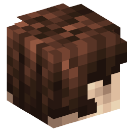 Minecraft head — People