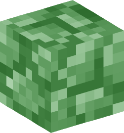 Minecraft head — Blocks