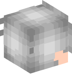 Minecraft head — People