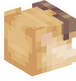 Minecraft head — Animals