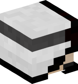 Minecraft head — People