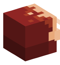 Minecraft head — Monsters