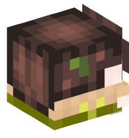 Minecraft head — Decor