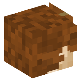 Minecraft head — People