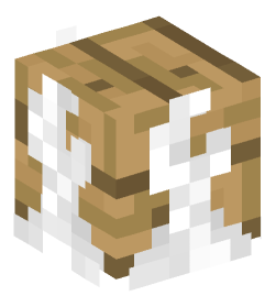 Minecraft head — Decor