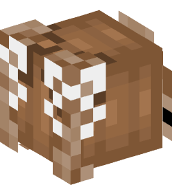 Minecraft head — People