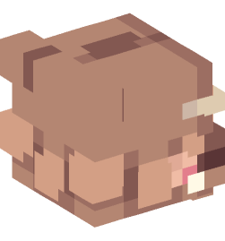 Minecraft head — People