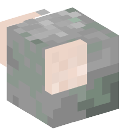 Minecraft head — Animals