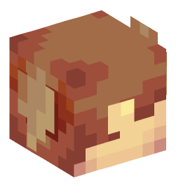 Minecraft head — People