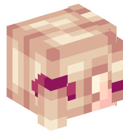 Minecraft head — People