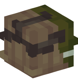 Minecraft head — People