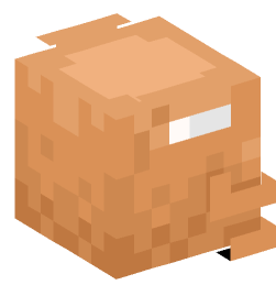 Minecraft head — Decor