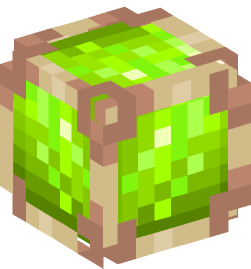 Minecraft head — Decor