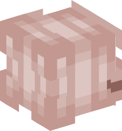 Minecraft head — People