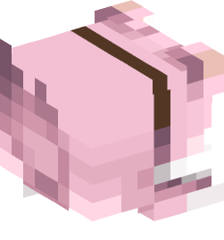 Minecraft head — Animals