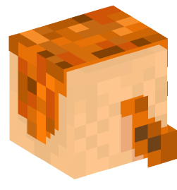 Minecraft head — People