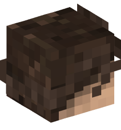 Minecraft head — People