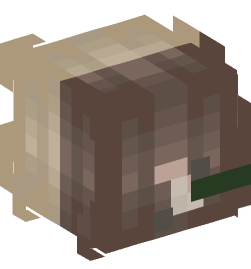 Minecraft head — People