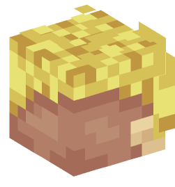 Minecraft head — People