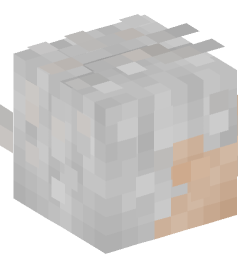 Minecraft head — People