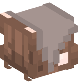 Minecraft head — People